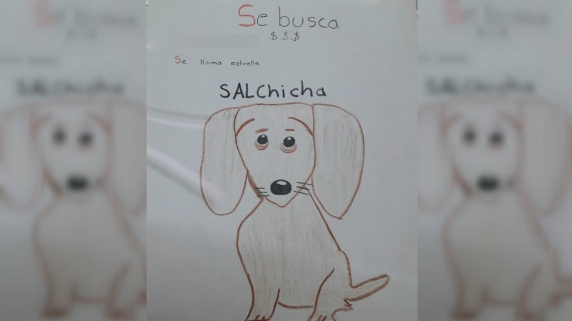Dibujo de perrita