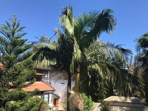 Ver el sol en lo posible