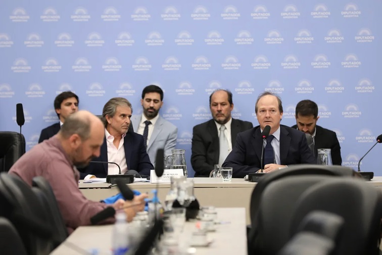 El secretario de Energía, Daniel González, expuso en diputados