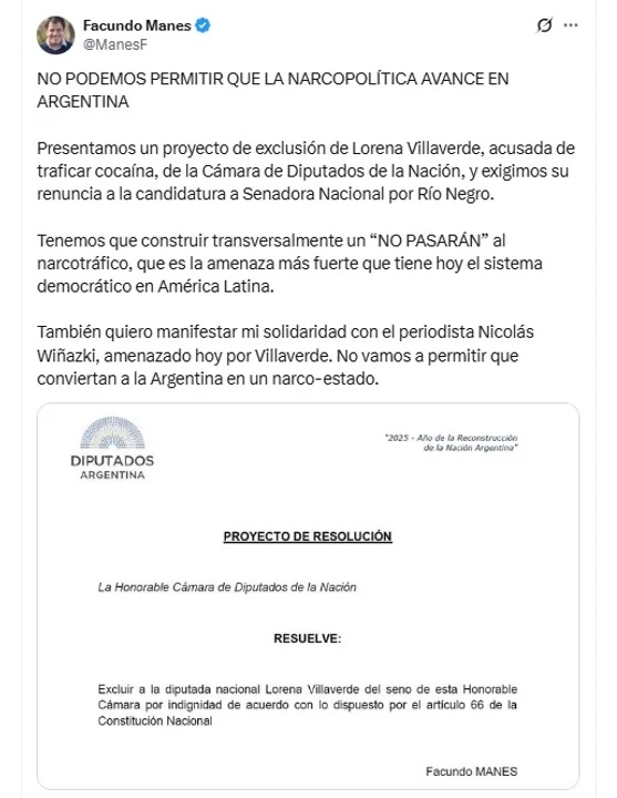El posteo de Manes en X./ Agencia Noticias Argentinas