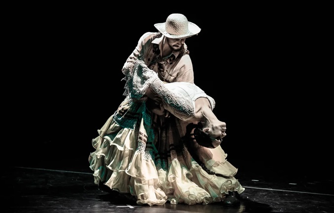 Martín Fierro de Danza.