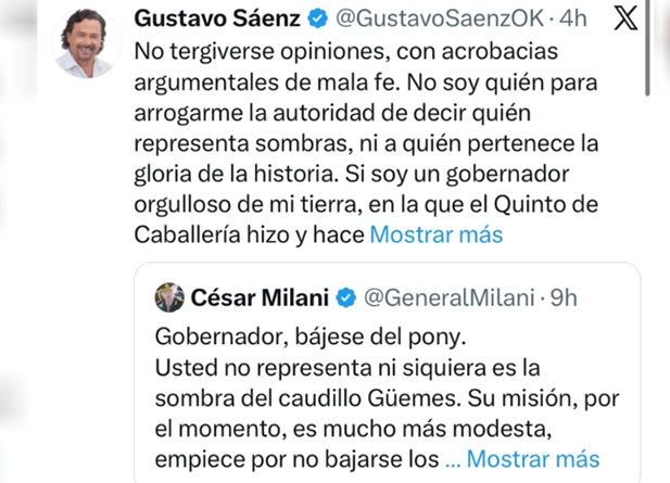 <br/>
Gobernador de Salta, Gustavo S&aacute;enz. (Foto: Archivo NA)