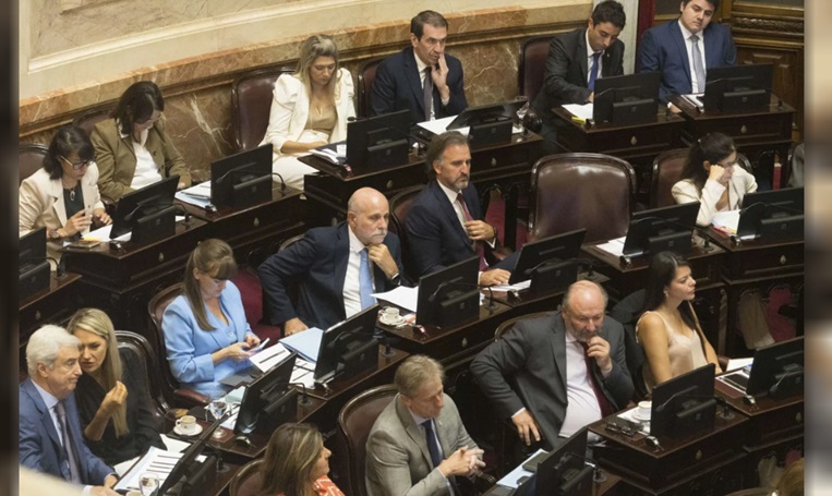 El Senado, en actividad.