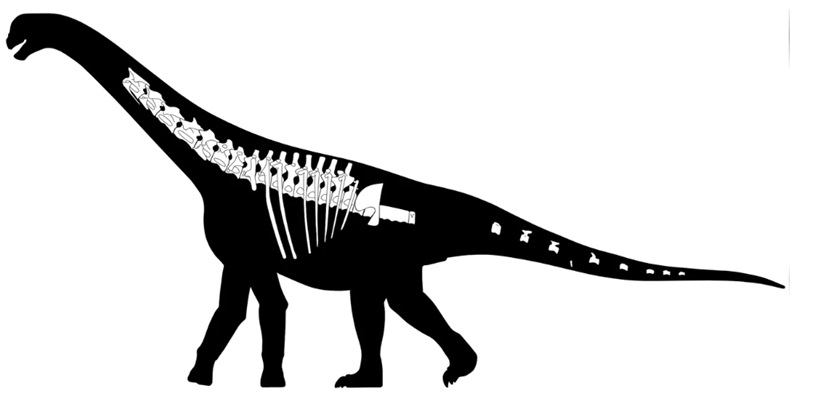 Bicharracosaurus.