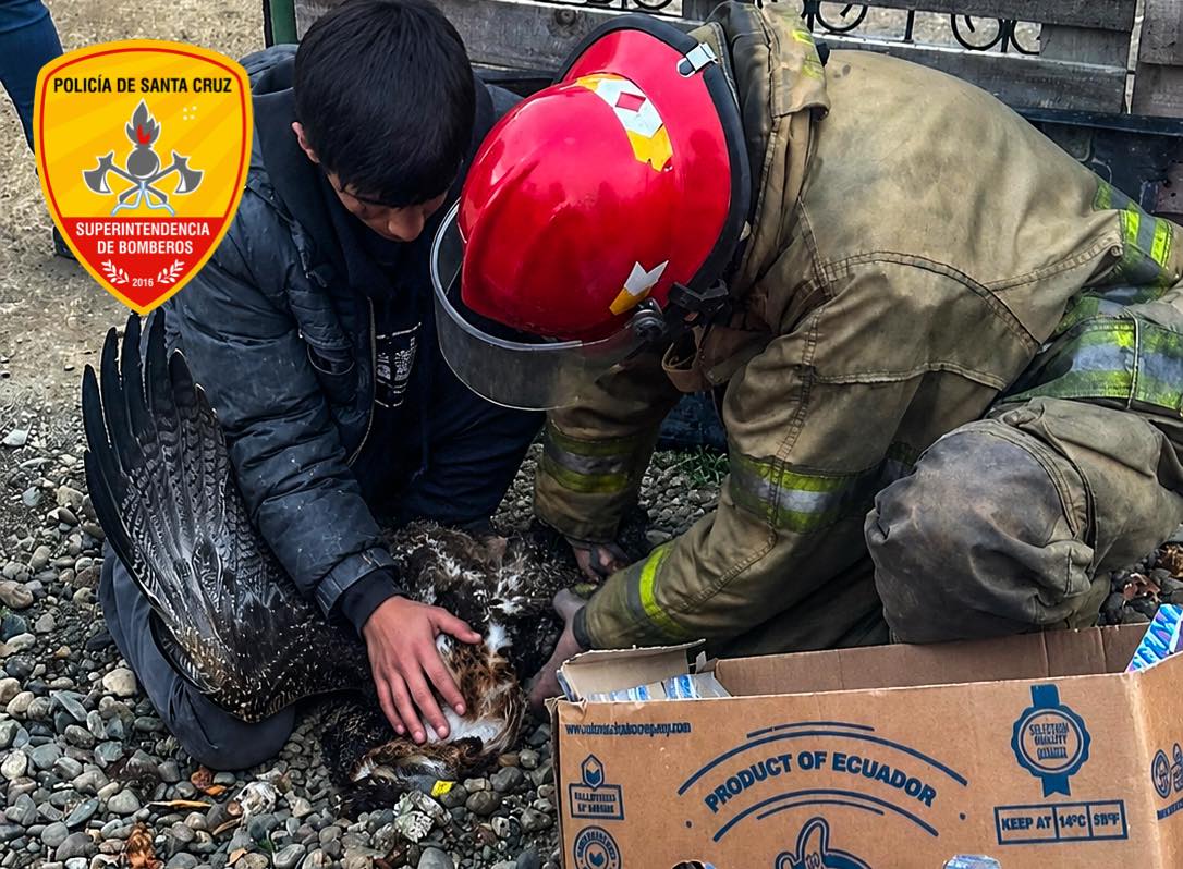 Foto: Bomberos de Santa Cruz