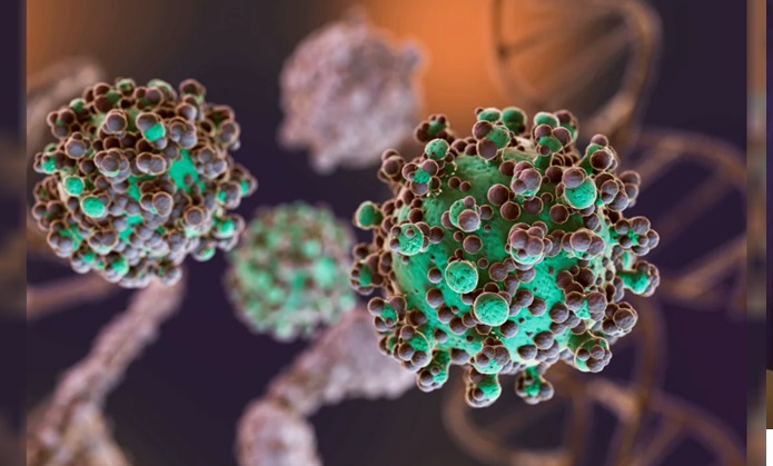 HANTAVIRUS