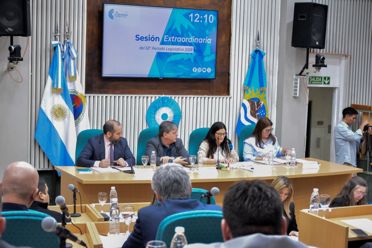 Presentaci&oacute;n del informe.